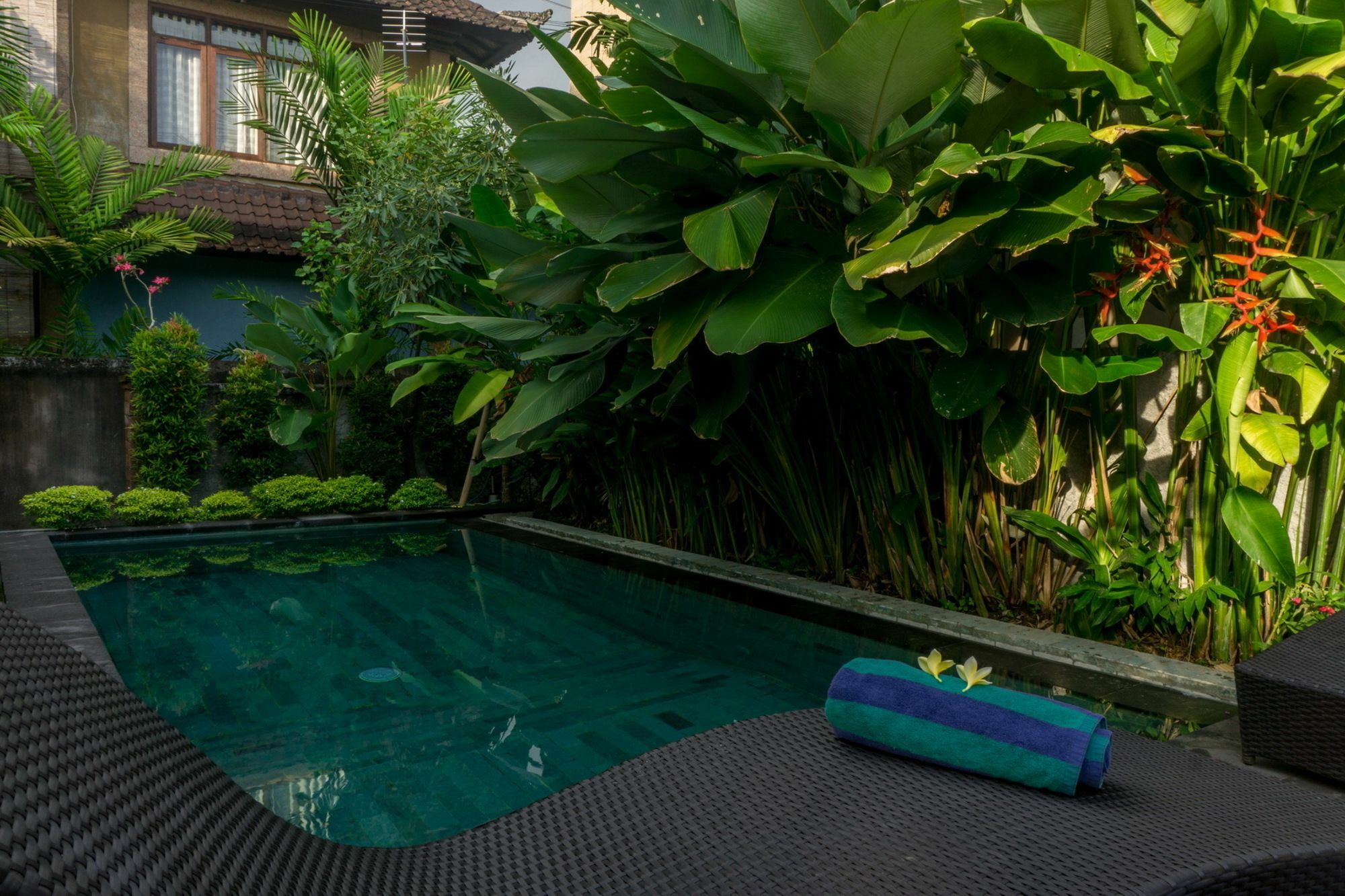 Eka Bali Guest House Ubud  Exterior photo